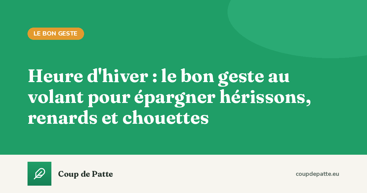 Heure d'hiver : le bon geste au volant pour épargner hérissons, renards et chouettes
