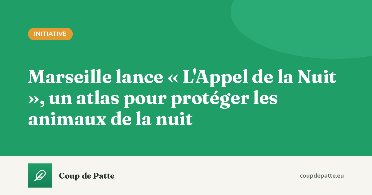 Marseille lance « L'Appel de la Nuit », un atlas pour protéger les animaux de la nuit
