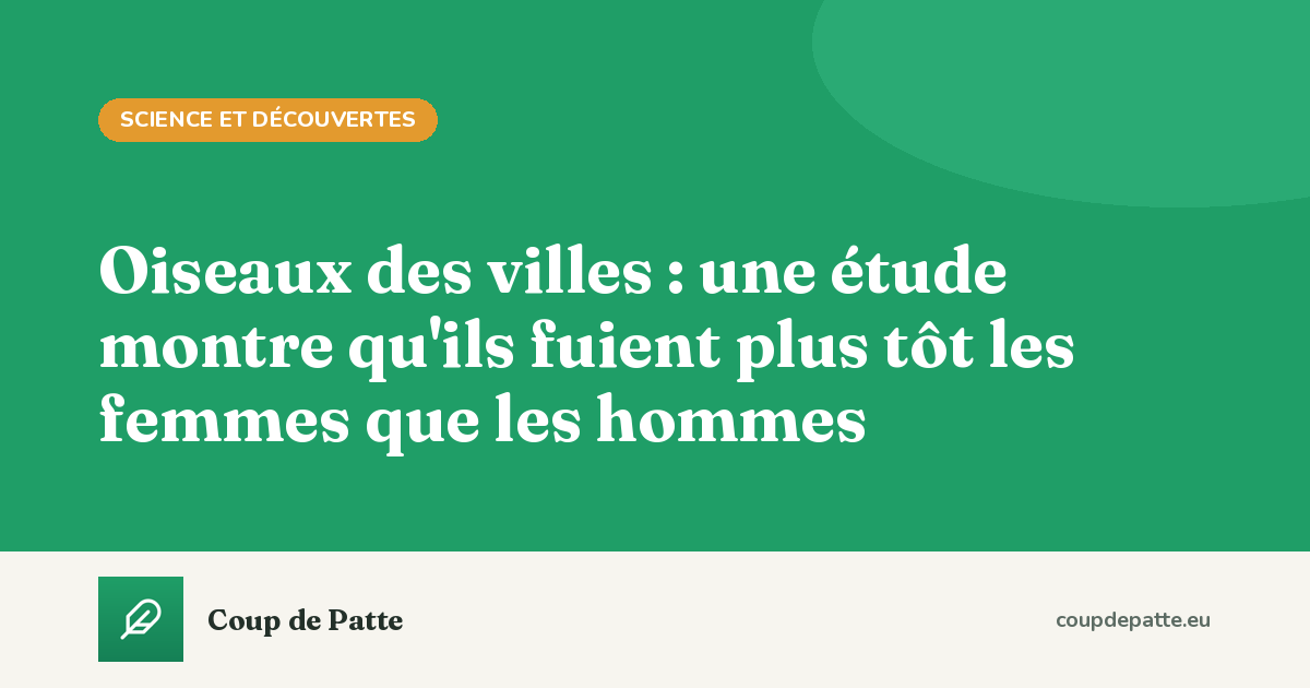 Oiseaux des villes : une étude montre qu'ils fuient plus tôt les femmes que les hommes