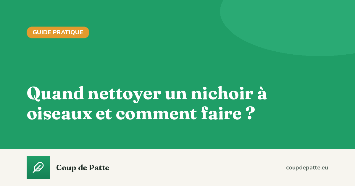 Quand nettoyer un nichoir à oiseaux et comment faire ?