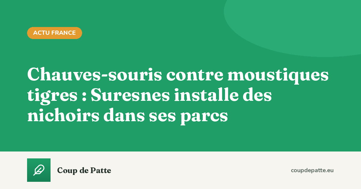 Chauves-souris contre moustiques tigres : Suresnes installe des nichoirs dans ses parcs
