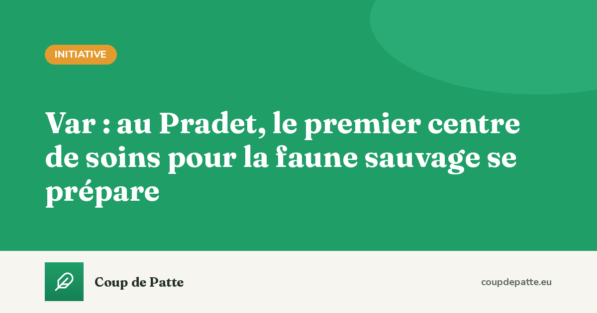 Var : au Pradet, le premier centre de soins pour la faune sauvage se prépare